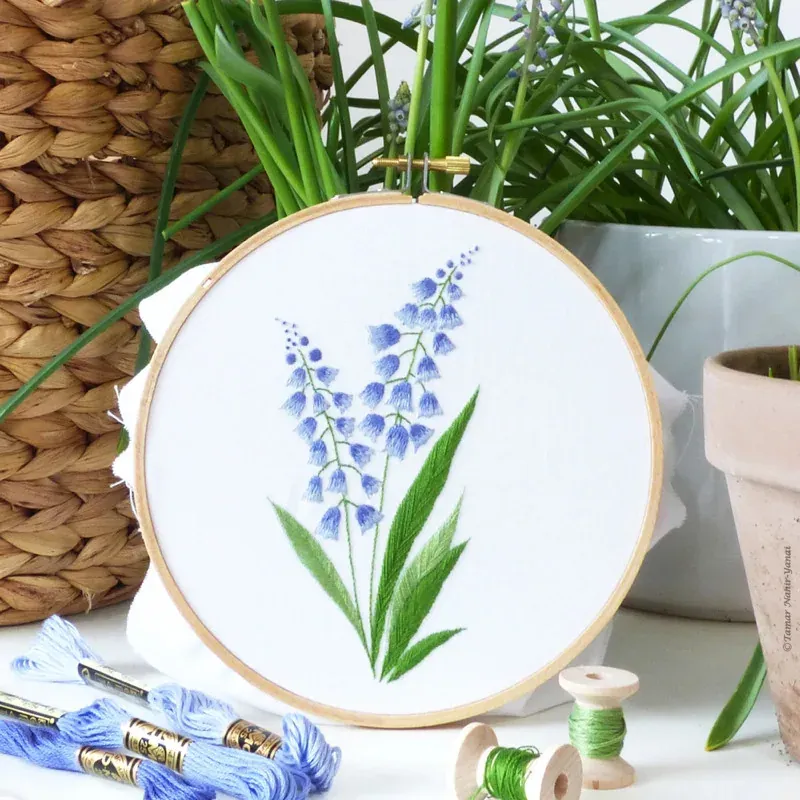Kit broderie traditionnelle Bellevalia, 21 x 21 cm