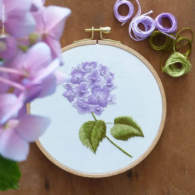 Kit broderie traditionnelle hortensia violet, 21 x 21 cm