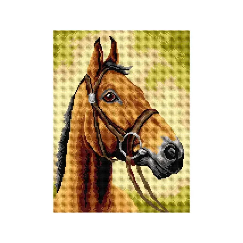 Kit canevas cheval sur toile blanche, 30 x 40 cm