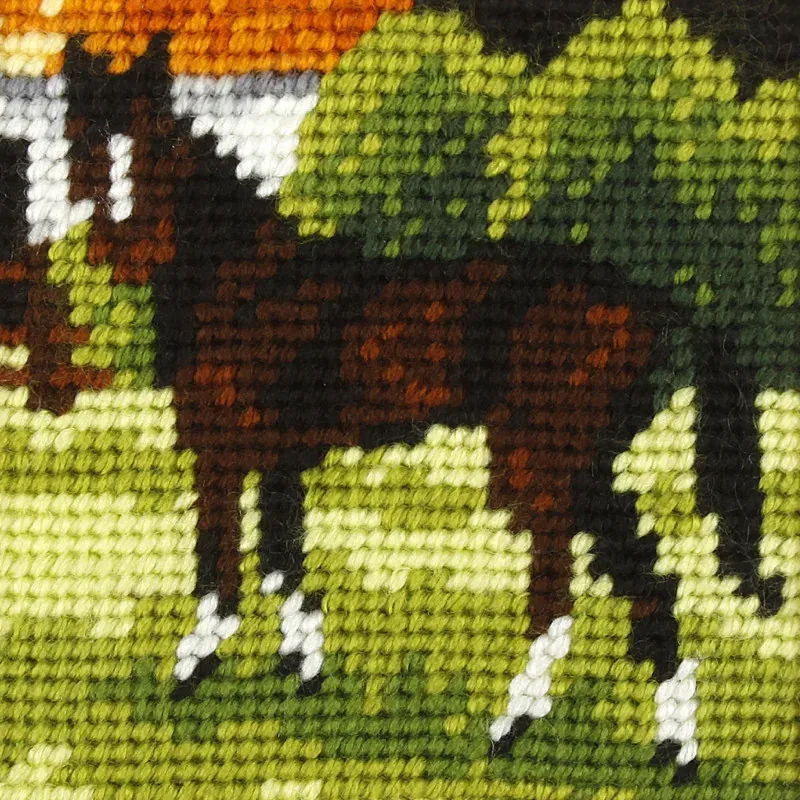 Kit canevas enfant cheval à broder, 16,5 x 16,5 cm