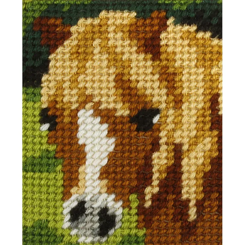 Kit canevas enfant tête de poney, 17 x 20.5 cm